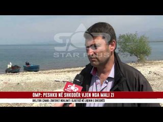 OMP: PESHKU NË SHKODËR VJEN NGA MALI ZI