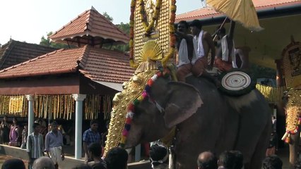 Temple Elephants in Cultural Festivities