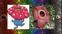 14 Pokemon That Are Actaully Based on Real Life Animals