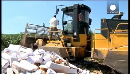 New decree in Russia to destroy banned Western food imports sparks criticism