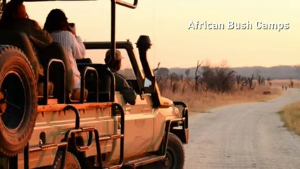 Caught on camera: Cecil the lion's cubs
