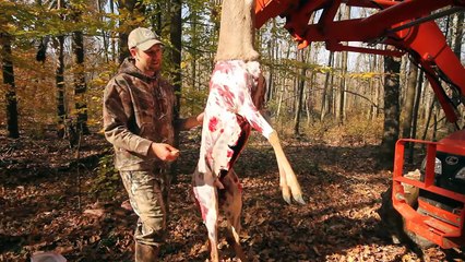 Timber To Table: How To Quarter a Deer