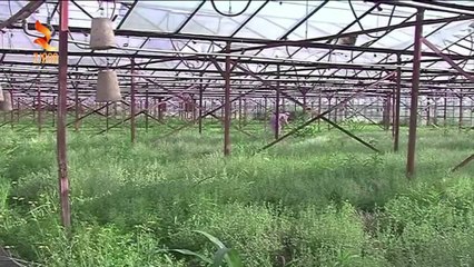 Zjarr Televizion: 360° grade - Enki (27/07/2015) RRITJE E EKSPORTEVE TE PRODUKTEVE BUJQESORE