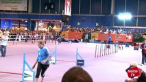 Deporte para perros (agility, dog dancing, disc dog) - Mascotas Nestlé TV