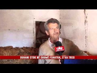 DUHANI STOK NË SHUMË FSHATRA, S’KA TREG