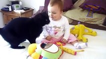 Funny cats and babies playing together - Cute cat & baby compilation