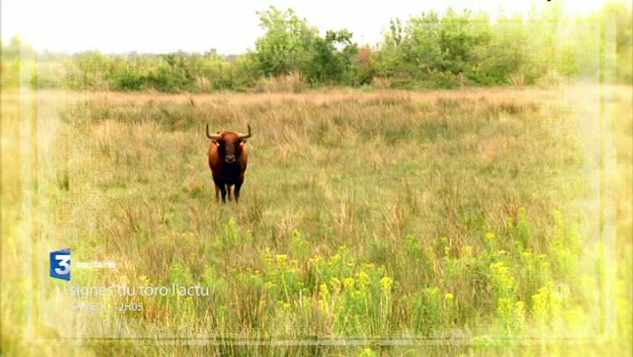Signes du Toro l'actu  Bande annonce