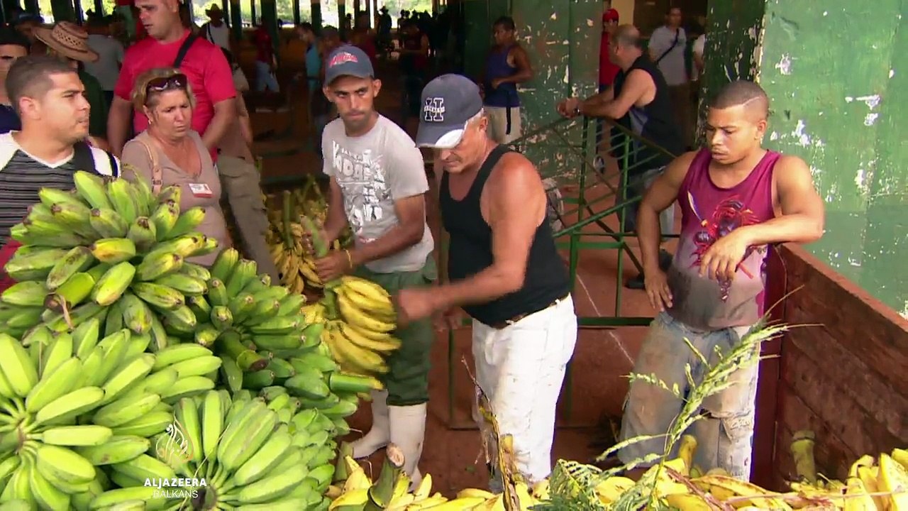 Kubanska poljoprivreda i prodaja robe na slobodnom tržištu