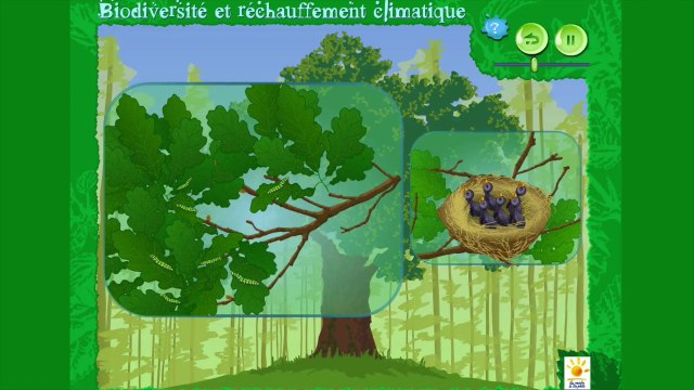 Impact du réchauffement climatique sur les mésanges