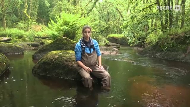 La moule perlière : une espèce menacée