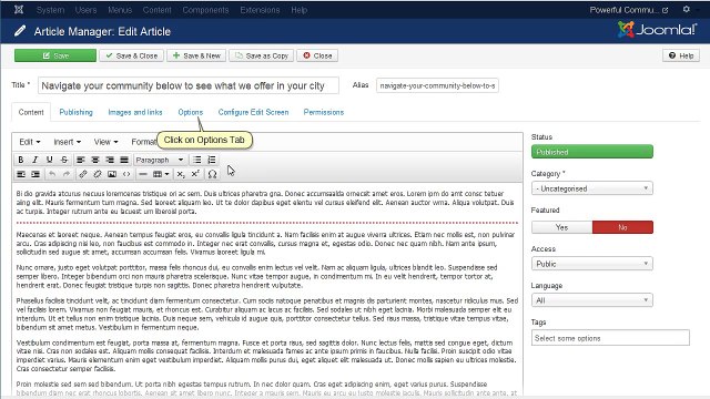 Joomla 3.x. How To Remove Author Name And Date From A Single Article And All Articles