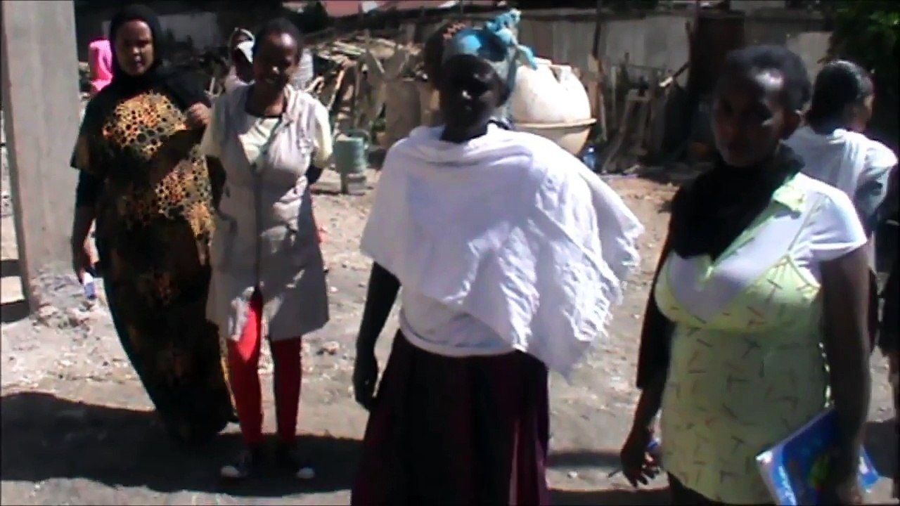 The community about health service delivery in Arada woreda, Ethiopia