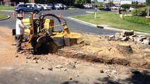 Cordova's | Stump Grinding | Fresno, Ca | Clovis, Ca