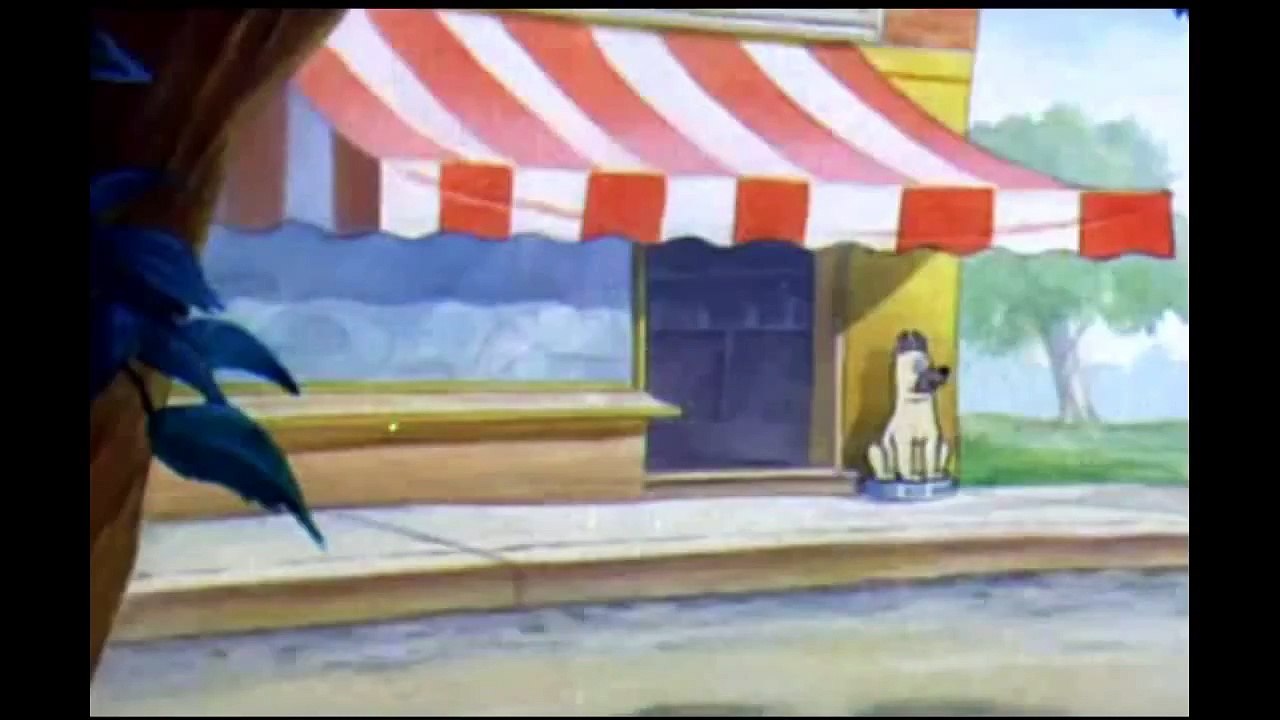 Tom And Jerry Cartoon 016 Puttin On The Dog Cartoon  1944 HD