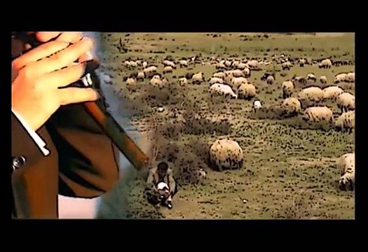 ALİHAN SAMEDOV- AZERBAYCAN MARALI-YAŞAM MÜZİK