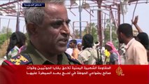 المقاومة الشعبية تلاحق بقايا الحوثيين بمحافظة لحج