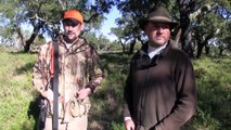 Quickfire red deer and boar shooting its the Monteria HD