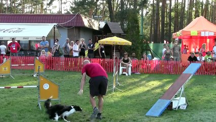 ricky & jam - agility bcc 2014 slovakia - pome 02/08