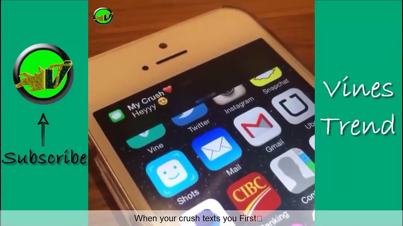 Ultimate Christian DelGrosso Vine Compilation w/ Titles - All Christian Delgrosso Vines -T