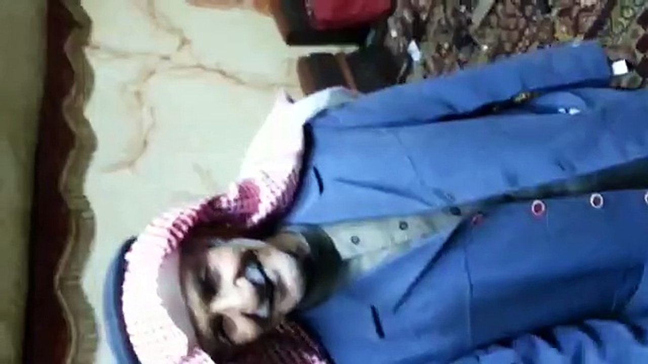 قصيدة الجيب
