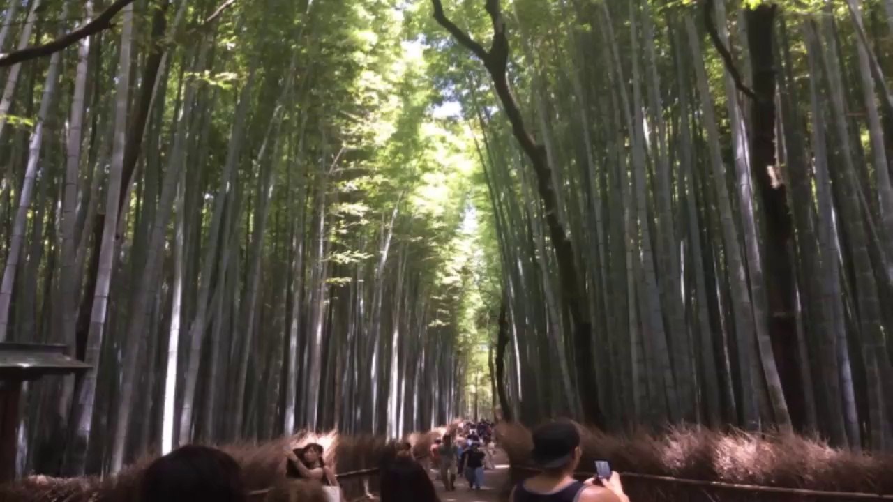Mon Voyage au japon 6eme partie