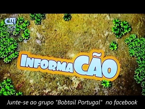 Direito Autoral - II Encontro Bobtail Casa da Torre