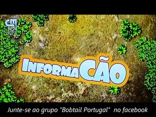 Direito Autoral - II Encontro Bobtail Casa da Torre