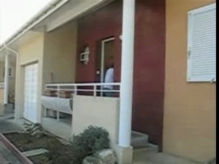 Counter strike garden vol6