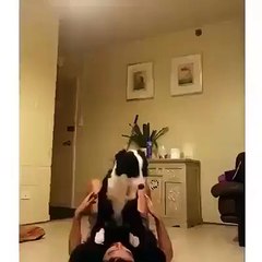 孟金龍皇冠 Great Videos to Share - clown!