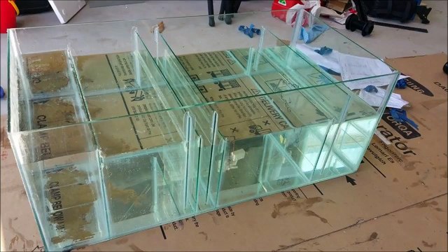 Saltwater Aquarium Tank Build to fish ready