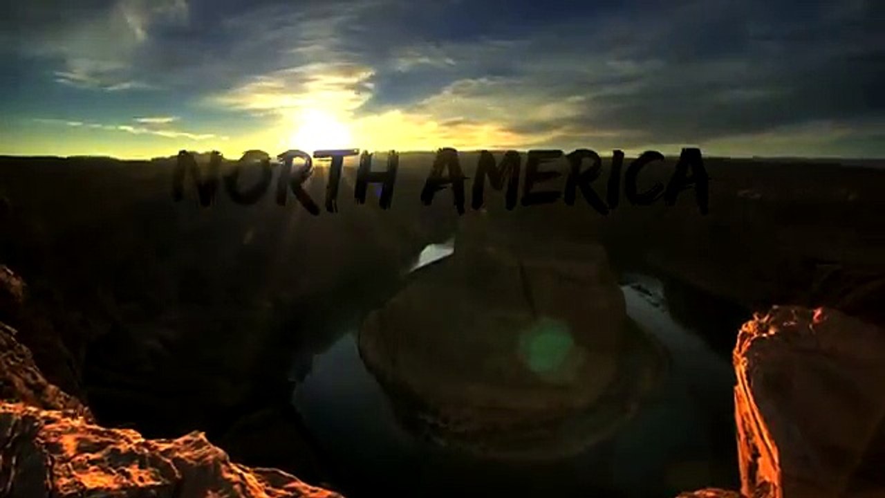 Clever Dolphins Hunt Together - North America