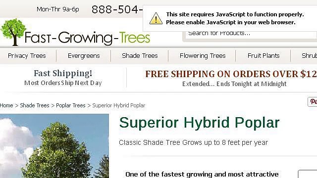 How-To Prune Hybrid Poplar Trees