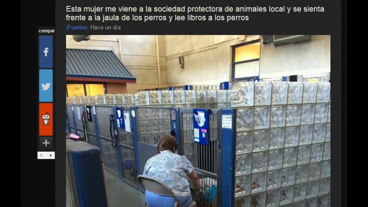 La mujer que leía libros a los perros abandonados para consolarlos