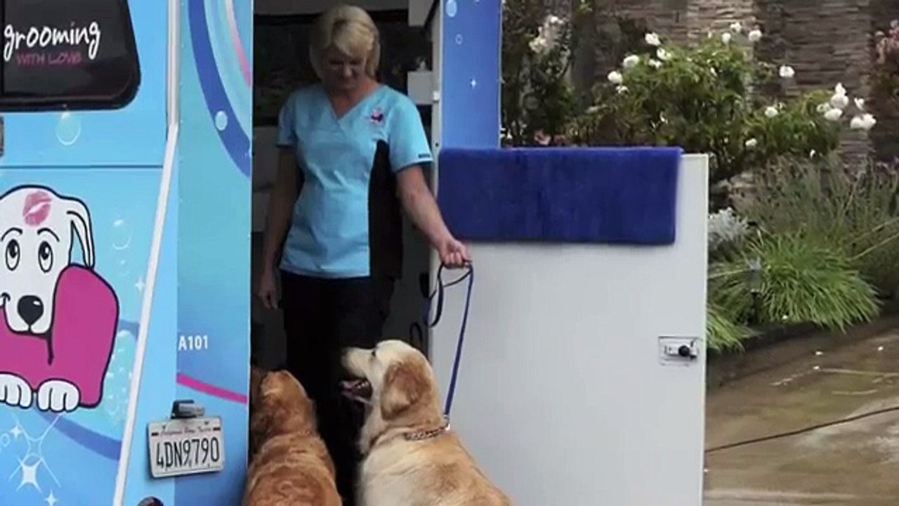 San Diego Mobile Pet Grooming