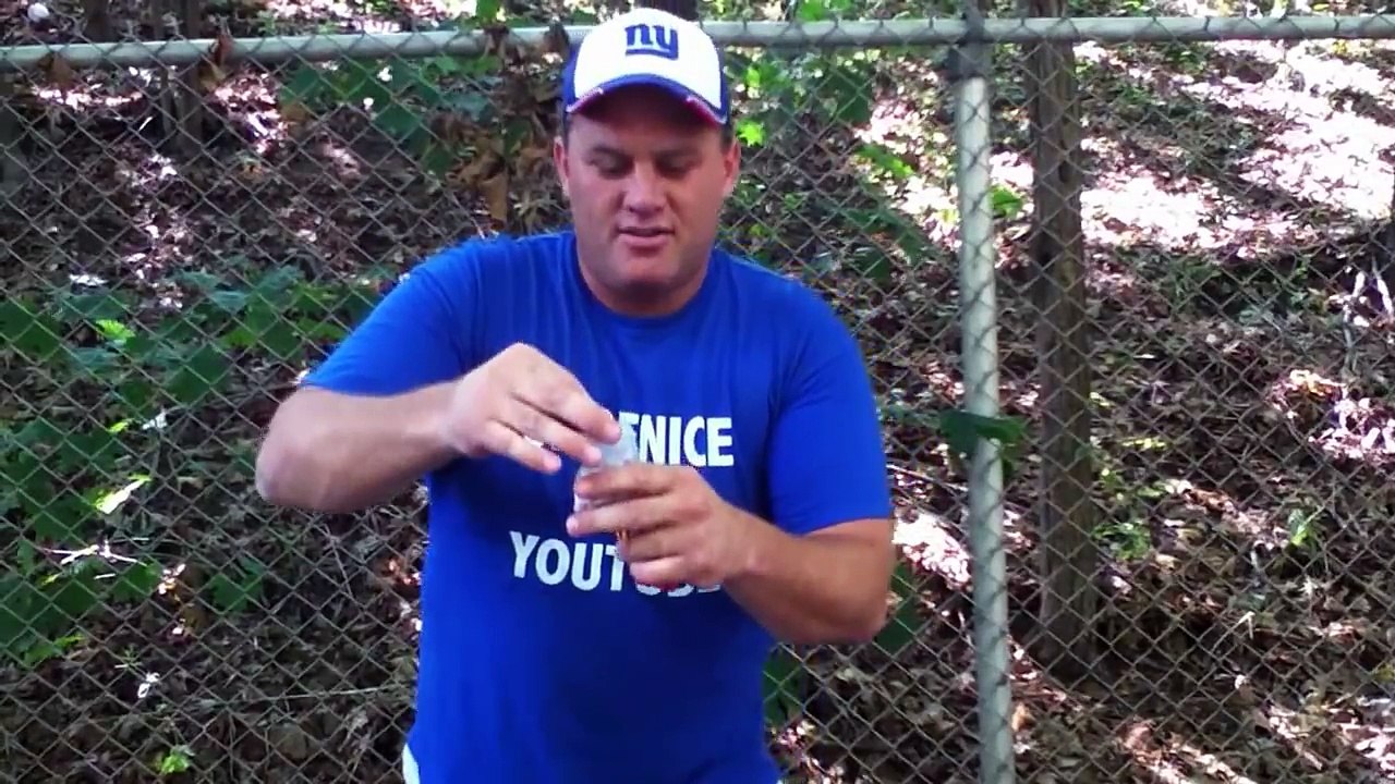 SHOENICE EATS SNAPPERS