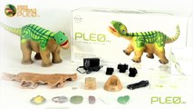 Pleo rb - What's in the box