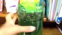 como fazer um vaso de planta com garrafa pet reciclando!!!!