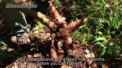 SABMiller: Understanding local consumers in Africa