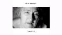 Not Waving | The Behaviourist Approach [Not Waving 2014]