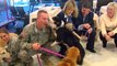 Soldiers reunited with military dogs