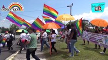 V Marcha contra la Trans, Lesbo, Gay, Bi e Inter Fobia El Salvador 2015