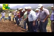 TIERRA PASTOS Y GANADO Siembra pasto de corte y estrella