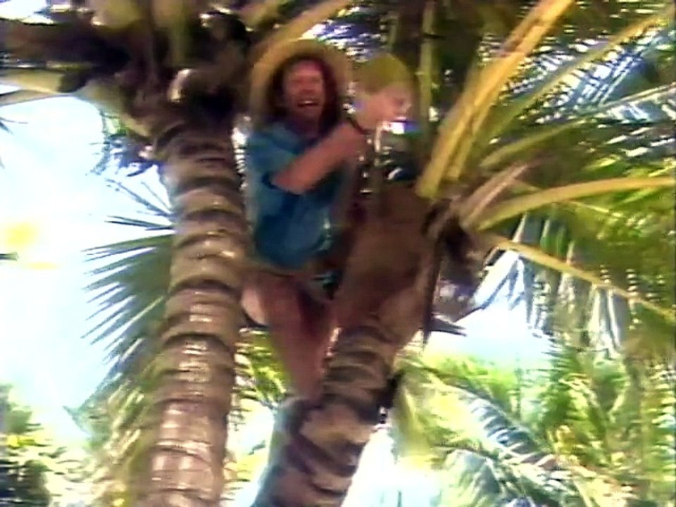 Laid Back - Sunshine Reggae