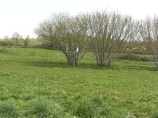 tadjoura au pre avril 2007