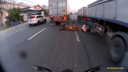 How Super Super Lucky Bike Rider Within Road Accident