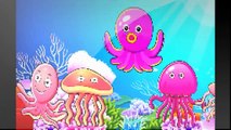 JELLY FISH Finger Family Cartoon Animation Nursery Rhymes For Children 2