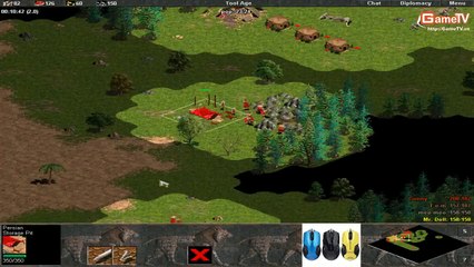 Gunny, Tom vs Meo meo, Yugi ngày 11 082014 C6T3