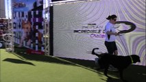 Fetch It Diving Winner - 2014 Purina® Pro Plan® Incredible Dog Challenge Eastern Regionals