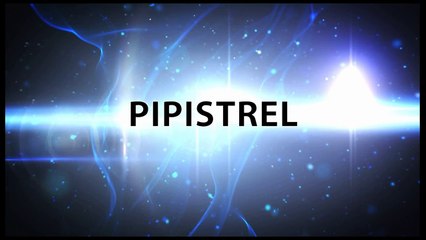 Pipistrel Pilot Matevz Lenarcic Interview after flying around the world Virus SW