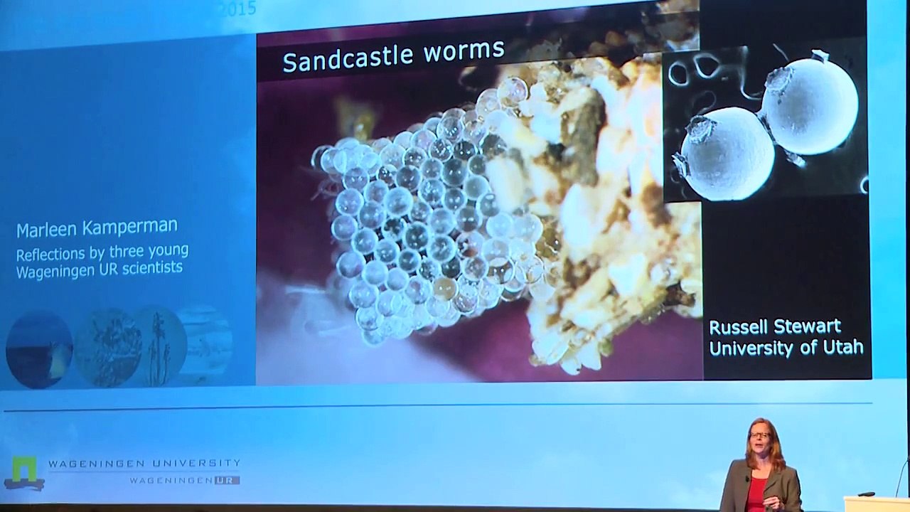 Speech Marleen Kamperman DIES 2015, Wageningen University